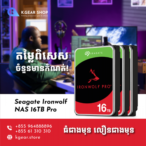 Seagate Ironwolf NAS Pro 16TB