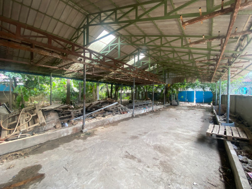 ដី និង ឃ្លាំង លក់ ឬ ជួល