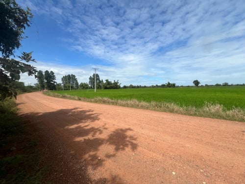 ប្លង់រឹង