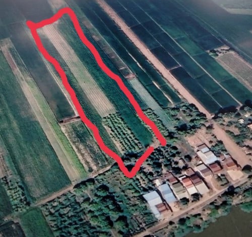 ដីចំការហើយអាចសង់ផ្ទះនៅក៏បានលក់ប្រញាប់ម្ចាស់ផ្ទាល់