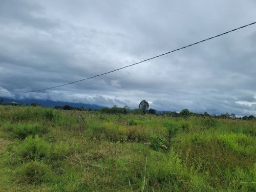 ដីលក់បន្ទាន់