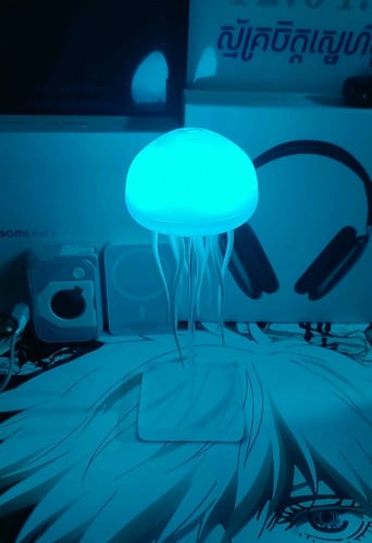 កំពូលរាត្រី night lamp