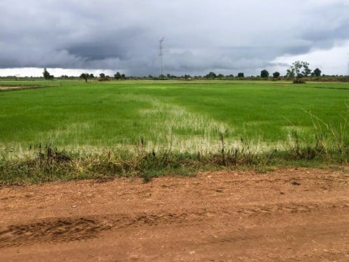 🏦Land Available for Urgent Sale at a Special Price (Negotiable).