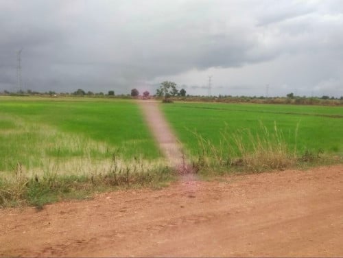 🏦Land Available for Urgent Sale at a Special Price (Negotiable).