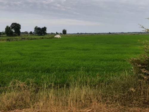 🏦Land Available for Urgent Sale at a Special Price (Negotiable).