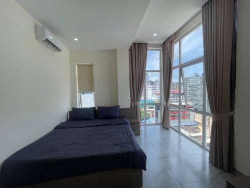 Studio near Lv lion square