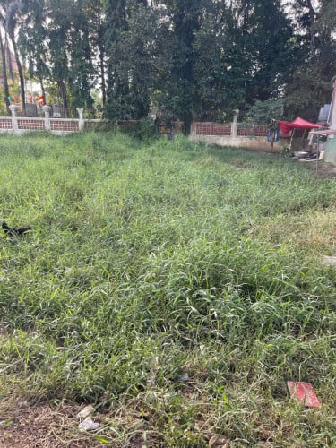 ដីលក់​ ទំហំ5x20