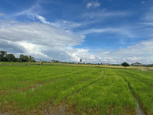 ដីលក់​ប្រញាប់​លុយ