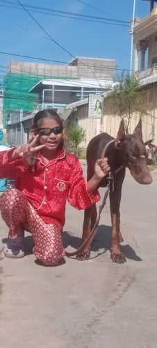 ឈ្មោលវ៉ាក់សាំងហើយរៀបរយ