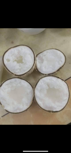 ដូងខ្ទិះ