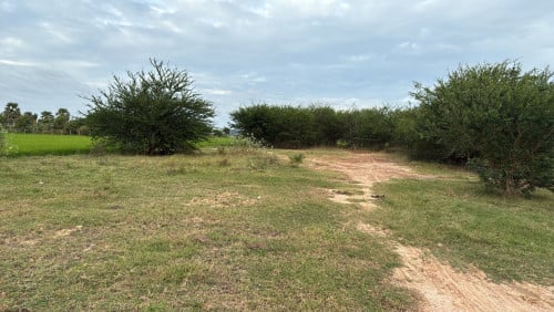 ដីស្រុកបាធាយ 1គីជិតថ្នល់កែង