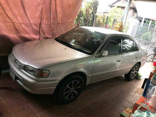 មហាថ្មីគ្មានពីកូរណាឆ្នាំ1995