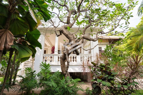 វីឡាសម្រាប់លក់-French Colonial Villa 📍