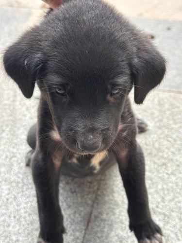 មួយខែកន្លះ