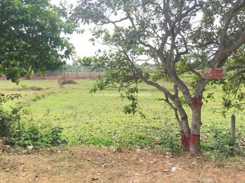 ដីលក់​ កែបថ្មី