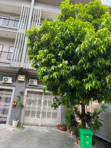 ផ្ទះ​បូរី​ជិត​ក្រសួងដែនដី​