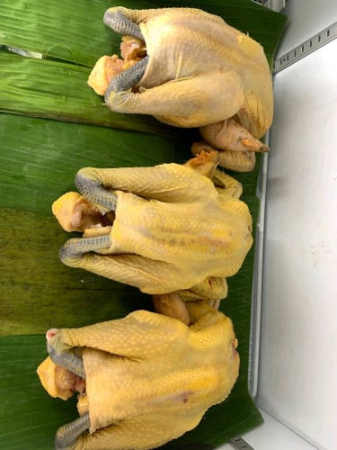 មាន់ស្រែធម្មជាតិ