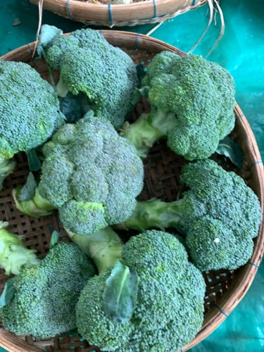 បន្លែធម្មជាតិ