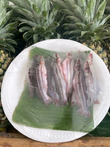 ត្រីសាច់ធម្មជាតិ