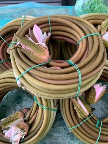 បន្លែធម្មជាតិ