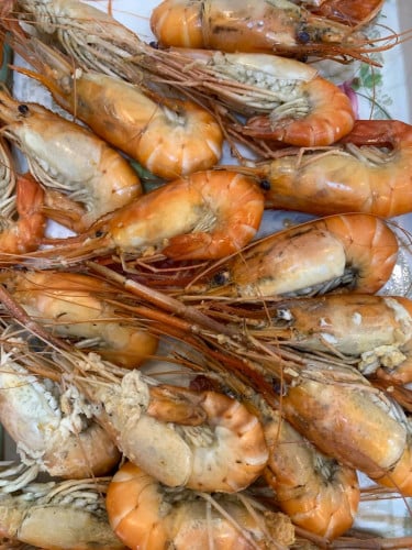 គ្រឿងសមុទ្រកោះស្តេច