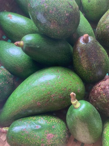 ផ្លែឈើខ្មែរ