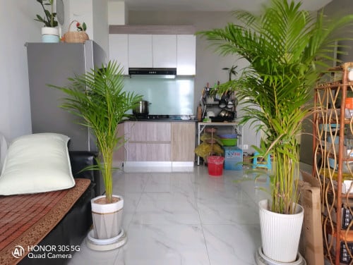 ខុនដូលក់បន្ទាន់Krong Akreiy Ksatr,Chaktomuk City View condo