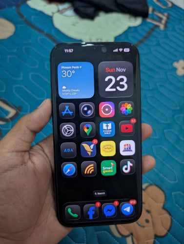 16PM 256GB Battery 100 LLA