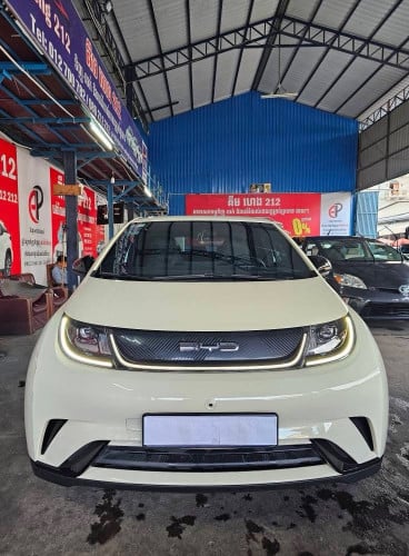 BYD ម្ចាស់ដើម 2024 6000Kg