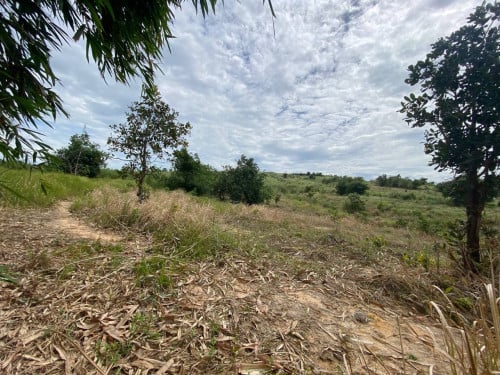 ដីលក់បន្ទាន់ខ្លាំងនៅជាប់គម្រោង ប៊ូយ៉ង និងតំបន់សេដ្ឋកិច្ចពិសេសក្រុងព្រះសីហនុ