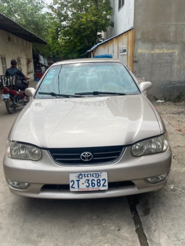 កូឡាទឹកមាស​មិនប៉ះ​មិនបុក​ឡានថ្មីបងប្អូន​