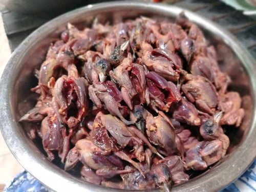 ចាបស្រែ ធម្មជាតិ