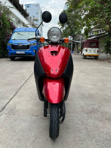 កូនទាជប៉ុនលក់