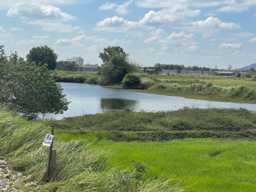 ដីលក់ធូៗ បន្ទាន់លុយ