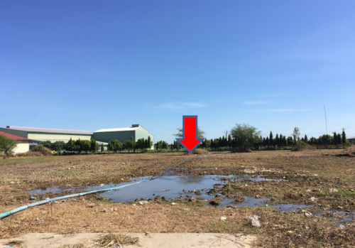 ដីទំនេរលក់ នៅស្រុកថ្មគោល ខេត្តបាត់ដំបង