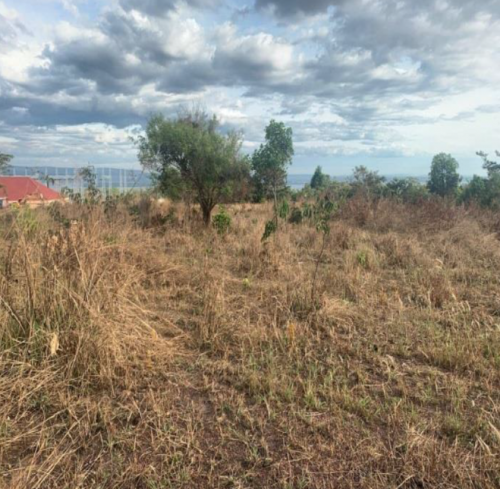 ដីនៅជិតព្រំដែន សំរាប់លក់ ស្ថិតនៅខេត្តកោះកុង