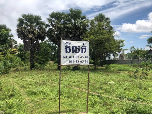 ដីលក់នៅផ្លូវ 51 ខេត្តកំពង់ស្ពឺ (ម្ចាស់ដី)