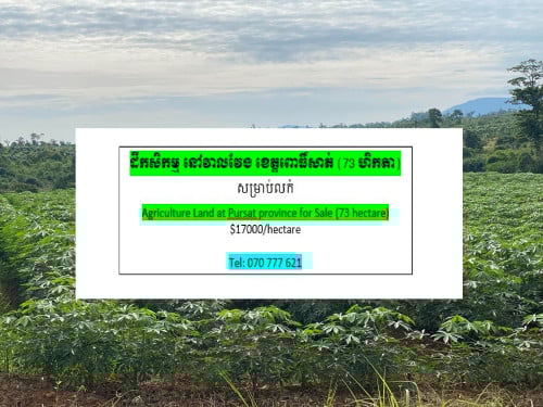 ដីកសិកម្មសម្រាប់លក់នៅវាលវែងខេត្តពោធិ៍សាត់ Agriculture Land at Pursat province for sale