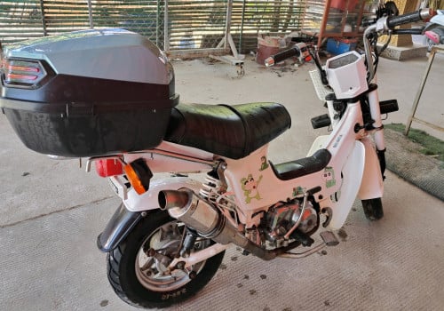 លក់ឆាលី តូចតែខ្លឹមអត់បេះដូង