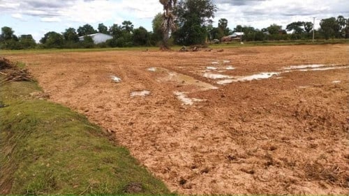 លក់បន្ទាន់ខ្លាំង​