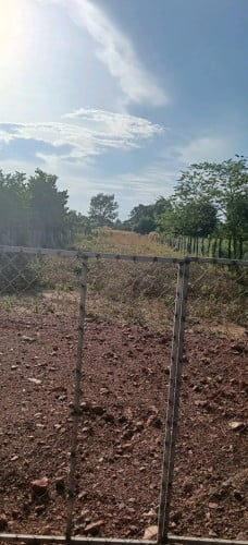 ដីលក់បន្ទាន់តម្លៃក្រាផ្សារ