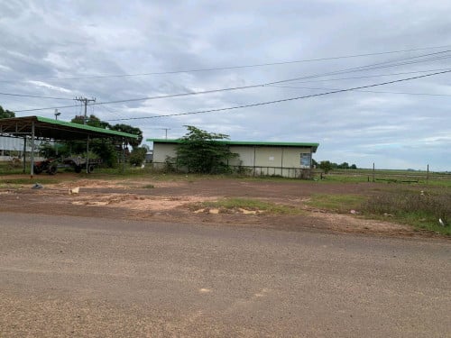 ប្លង់រឹង