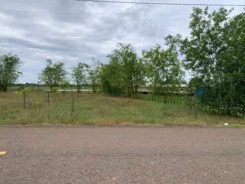 ប្លង់រឹង