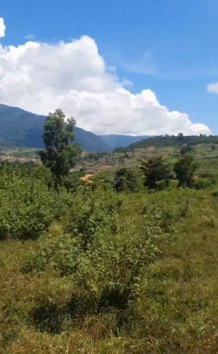 ដីជាប់ព្រែក​ មេីលឃេីញភ្នំបូកគោ