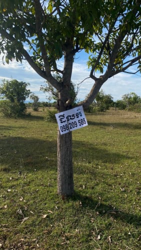 ដីលក់ក្រោមតម្លៃដេីម ត្រូវការលក់បន្ទាន់