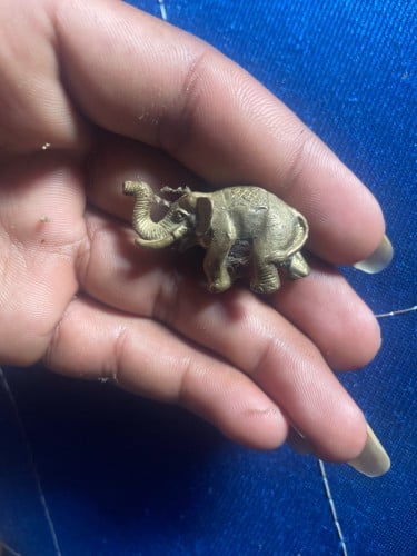 ដំរី បន្សល់ទុកតាំងពីរឆ្នាំ1938 ជំនាន់យាយទួត