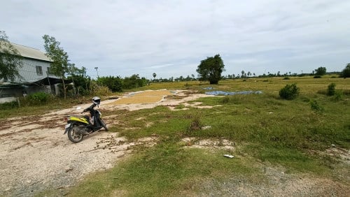 ដីលក់លើផ្លូវកៅស៊ូ30m ខាលិព្រលានថ្មី8km