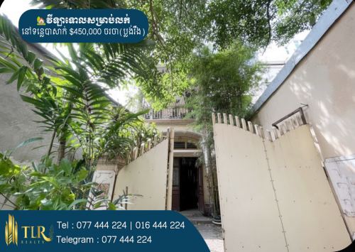 វីឡាទោលសម្រាប់លក់ | Single Villa for Sale
