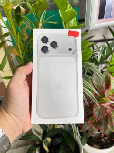 17 Pro Max LL/A eSIM no active Silver 256GB ថ្មីប្រអប់តម្លៃពិសេសខ្លាំង