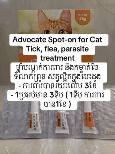 ថ្នាំបណ្តក់លើស្បែកសត្វឆ្មា ការពារ/កម្ចាត់/ទំលាក់ព្រូន